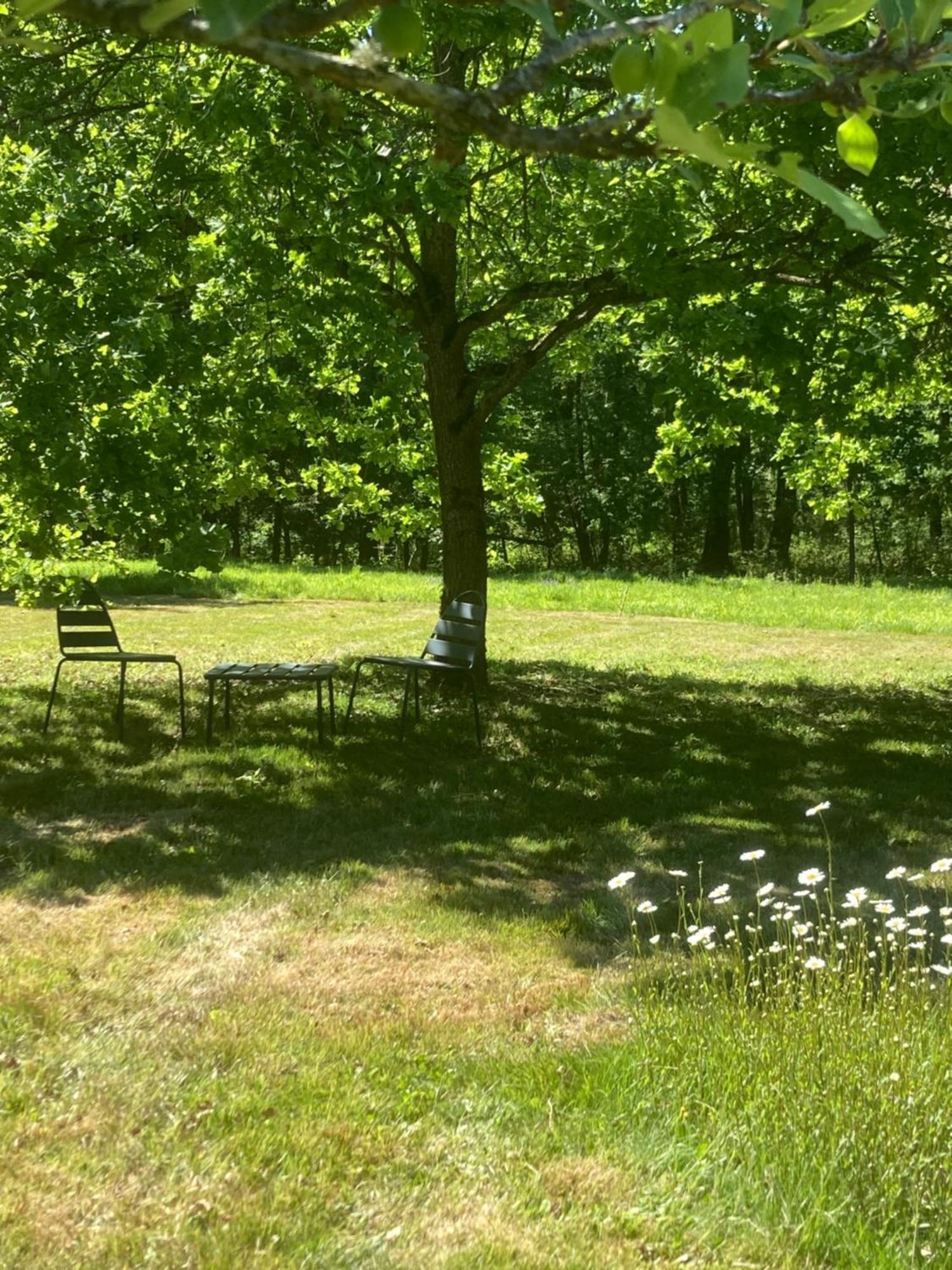 Les Bois De Ravel Chambres D'Hotes Bagian luar foto